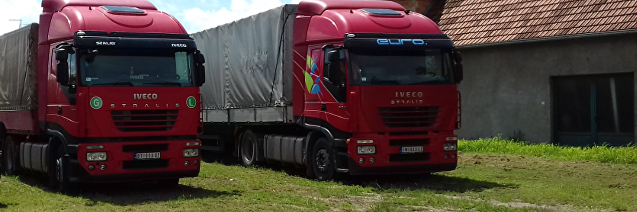 Transport kamionima